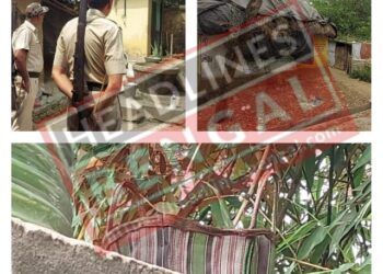 বোমা উদ্ধারকে কেন্দ্র করে চাঞ্চল্য ছড়ালো বর্ধমানের কৃষ্ণপুর এলাকায়।আটক ১।