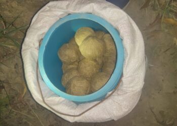 জেলাজুড়ে ফের উদ্ধার বোমা,বন্দুক ও গুলি।