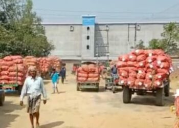 দাম বাড়ার আশায় হিমঘরে আলু পাঠাচ্ছেন দক্ষিণবঙ্গের কৃষকরা