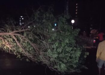 কালবৈশাখীর ঝড়ে আম কুড়ানোর সময় গাছের ডাল ভেঙে কেতুগ্রামে মৃত্যু কিশোরীর।