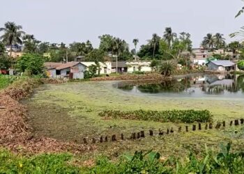 গরমের বলি কালনায়, রোদে কাজ করার সময় মৃত ব্যক্তি